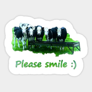 Please smile :) Sticker